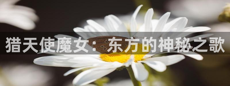 omofun动漫在哪下载
