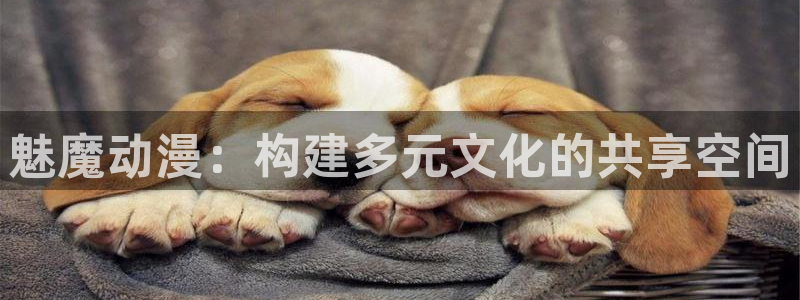 omofun动漫在哪下