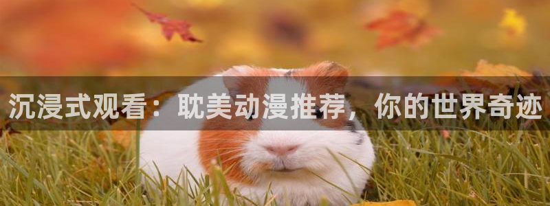 omofun动漫软件下载